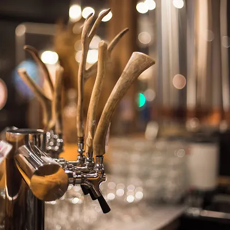 Flamsbrygga 3* פלאם