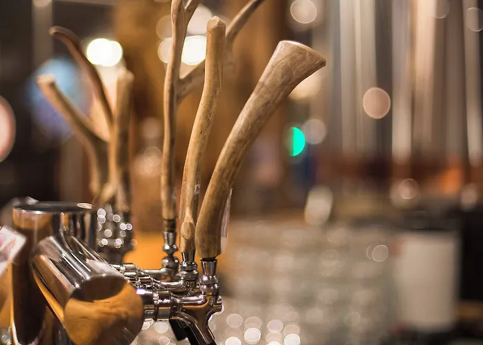 Flamsbrygga 4* Флам